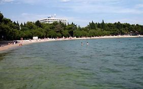 Vitoni